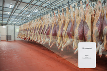 Load image into Gallery viewer, RN310 Temperature & Humidity Sensor (LoRa)